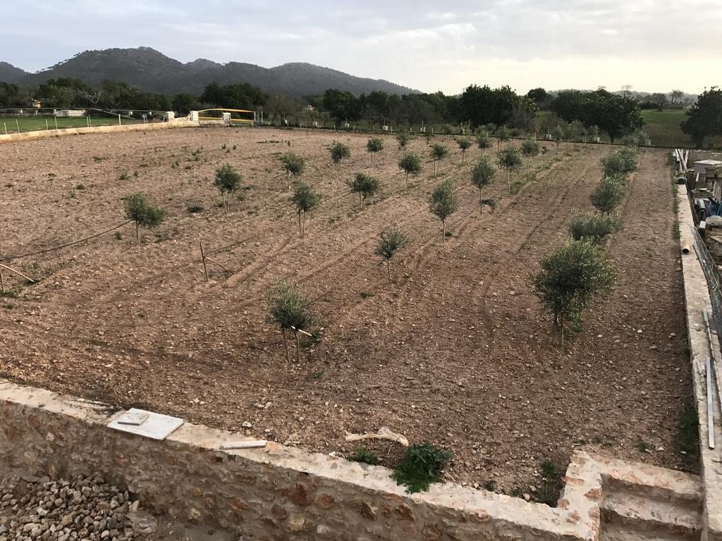 Ca Na Nina Vakantieboerderij Sant Llorenc Des Cardassar